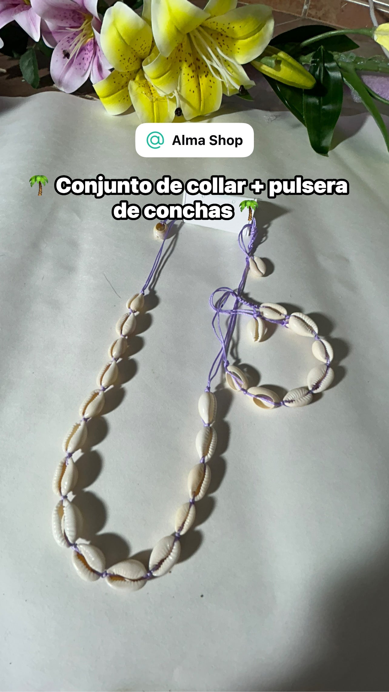 Conjunto conchas.